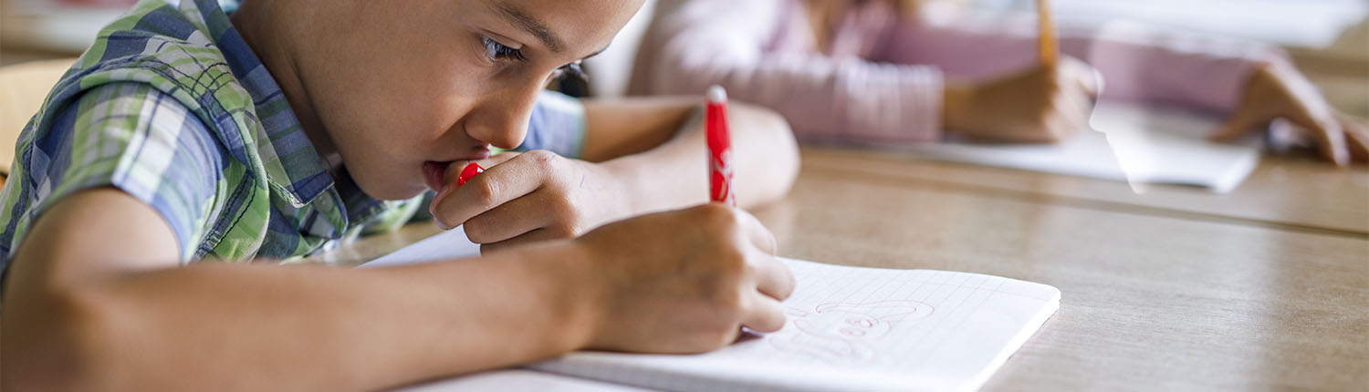 Young boy writing in a notebook